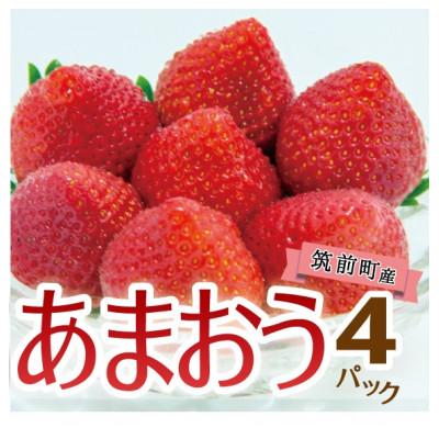 ふるさと納税 筑前町 [筑前町産]あまおう(いちご) 4パック