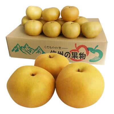 ふるさと納税 高森町 [高森町]8月中旬より順次発送予定!南信州産で育った幸水5kg