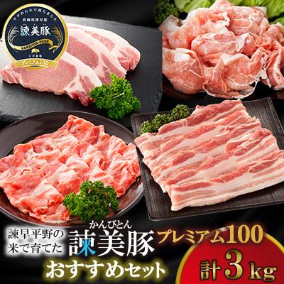 ふるさと納税 諫早市 諌早平野の米で育てた諫美豚(かんびとん)プレミアムおすすめセット3kg[土井農場]