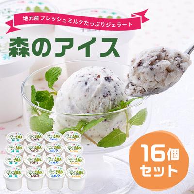 ふるさと納税 南箕輪村 地元産フレッシュミルクたっぷりジェラート森のアイス16個セット