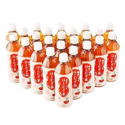 ふるさと納税 羽咋市 能登のはとむぎ茶 500ml×24本