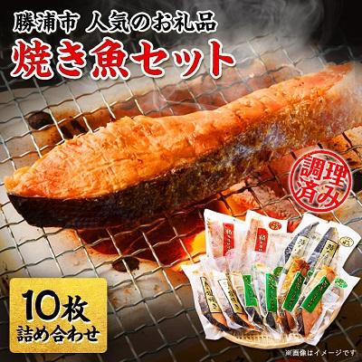 ふるさと納税 勝浦市 焼き魚セット