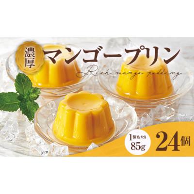 ふるさと納税 下仁田町 濃厚マンゴープリンセット 24個入