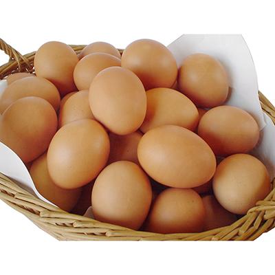 ふるさと納税 袖ケ浦市 房総のあおぞら農場北川鶏園のぷりんセス・エッグ30個(房総の大人気卵)