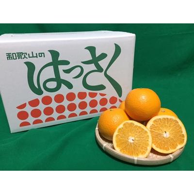 ふるさと納税 湯浅町 [まごころ手選別]有田のはっさく[八朔]約10kg S〜Mサイズ[2026年1月中旬より順次発送]