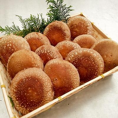 ふるさと納税 北茨城市 ジャンボしいたけ約1.2kg