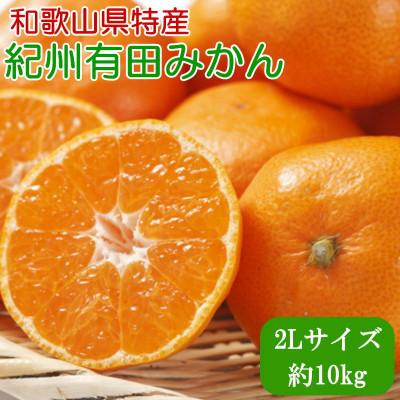 ふるさと納税 湯浅町 [秀品]和歌山有田みかん10kg大玉(2Lサイズ)「2025年11月中旬より順次発送」