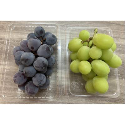 ふるさと納税 高松市 シャインマスカット+ピオーネ パック食べ比べセット 約1.2kg以上(各2パック)