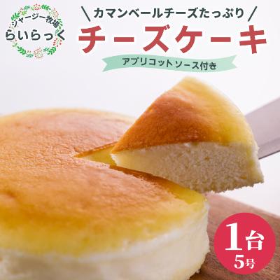 ふるさと納税 朝来市 ジャージー牧場らいらっくチーズケーキ
