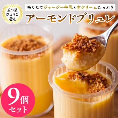 ふるさと納税 朝来市 ジャージー牧場らいらっく アーモンドブリュレ9個セット