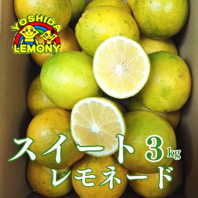 ふるさと納税 宇城市 先行予約 レモン 食べるレモンスイートレモネード 3kg | 