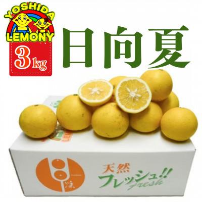 ふるさと納税 宇城市 日向夏(ひゅうがなつ) 3kg