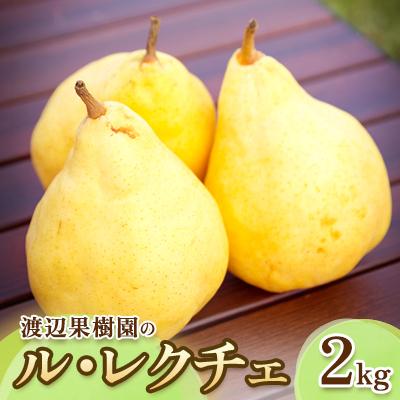 ふるさと納税 須賀川市 渡辺果樹園のル・レクチェ 2kg