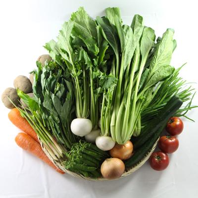 ふるさと納税 須賀川市 阿部農縁 旬のお野菜わくわくセット