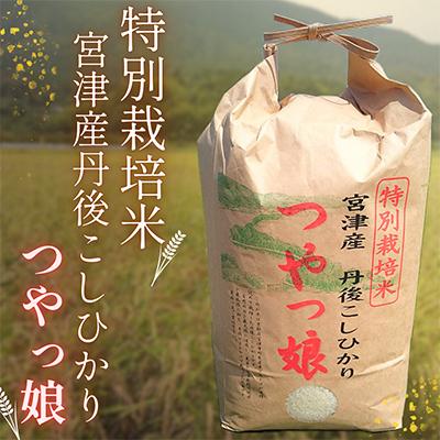 ふるさと納税 宮津市 [令和7年産][新米/産地直送]特別栽培米 宮津産丹後コシヒカリ「つやっ娘」5kg