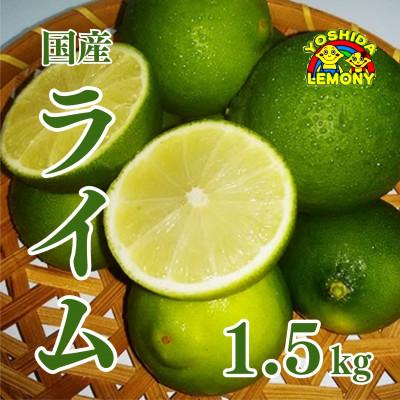 ふるさと納税 宇城市 先行予約 国産ライム 1.5kg