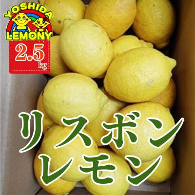 ふるさと納税 宇城市 先行予約 レモン 国産リスボンレモン 2.5kg