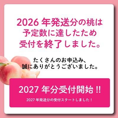 ふるさと納税 山梨市 【2027年(来年)発送 先行受付】山梨旬の桃 約2kg