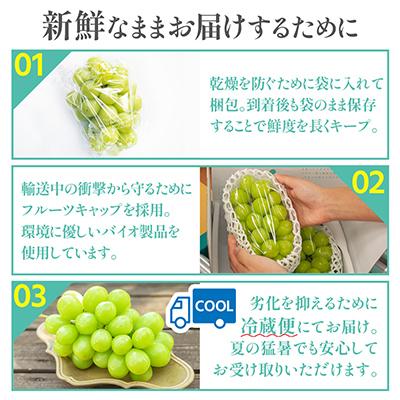 8️⃣ 山梨県産 シャインマスカット １１房入り 箱込み5.2キロ 桐箱入り】シャインマスカット × 2房（山梨・岡山・長野産