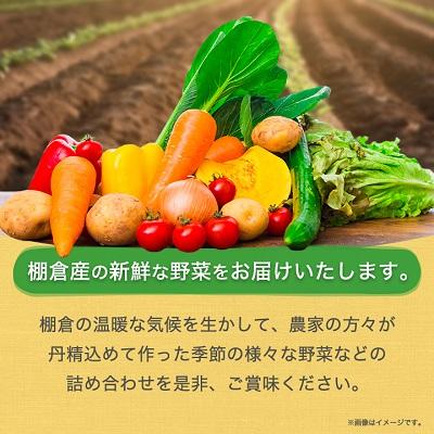 ふるさと納税 棚倉町 旬の野菜詰め合わせセット(石安米肥店)_1