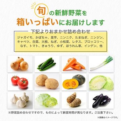 ふるさと納税 棚倉町 旬の野菜詰め合わせセット(石安米肥店)_2