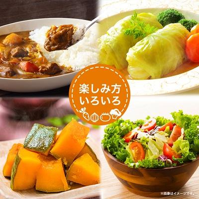 ふるさと納税 棚倉町 旬の野菜詰め合わせセット(石安米肥店)_3