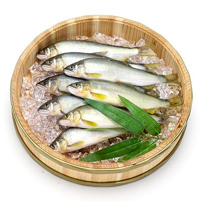 ふるさと納税 上郡町 氷しめ鮎8匹