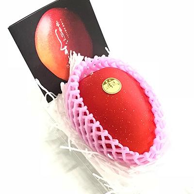 ふるさと納税 瑞穂市 ぎふ清流完熟マンゴー長良川のしずく 2L1玉入り