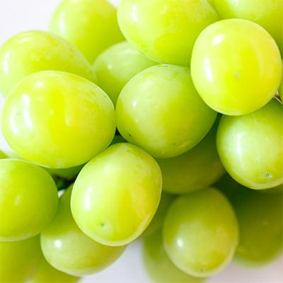 ふるさと納税 阿波市 シャインマスカット(約1kg)