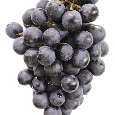 ふるさと納税 阿波市 ぶどう詰め合わせセット(12種類の中から約1kg)