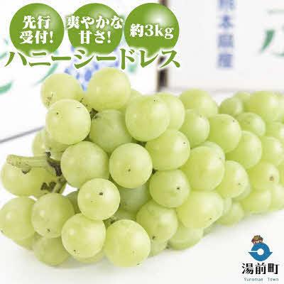 ふるさと納税 湯前町 [先行受付!][くまもと湯前産]爽やかな甘さ!ハニーシードレス 約3kg