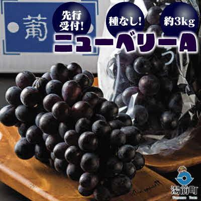 ふるさと納税 湯前町 [先行受付!][くまもと湯前産]種なし!ニューベリーA 約3kg