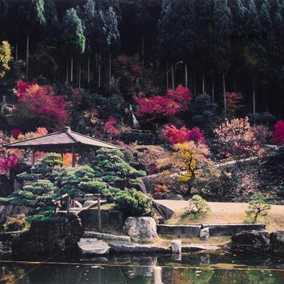 ふるさと納税 雲南市 回遊式日本庭園「石照庭園」お食事付きペアチケット