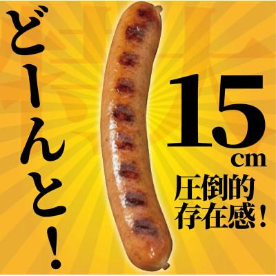 ふるさと納税 藤沢市 【 訳あり 】 ソーセージ 計 2kg (1kg × 2袋) 伝統の味ウインナーセット |  | 02