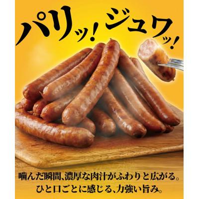 ふるさと納税 藤沢市 【 訳あり 】 ソーセージ 計 2kg (1kg × 2袋) 伝統の味ウインナーセット |  | 03