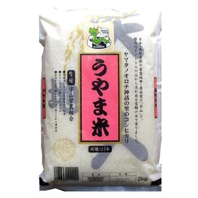 ふるさと納税 雲南市 令和7年産・神話の里/雲南市吉田町「うやま米」コシヒカリ8kg(2kg×4)