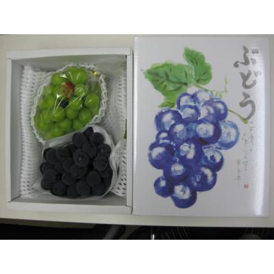 ふるさと納税 高松市 人気の2品種 シャインマスカット+ピオーネ食べ比べセット 約1.2kg(各1房)