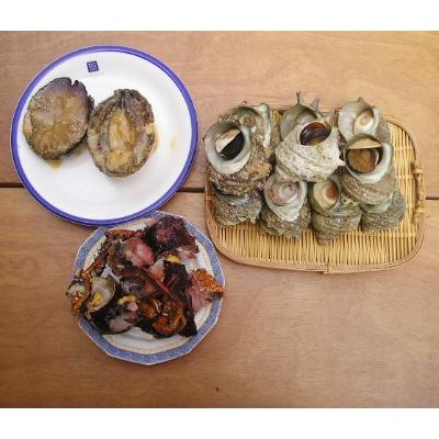ふるさと納税 下田市 [伊豆の恵み3種 Cセット]ボイルサザエ・味噌汁用カット伊勢海老・あわび味噌漬