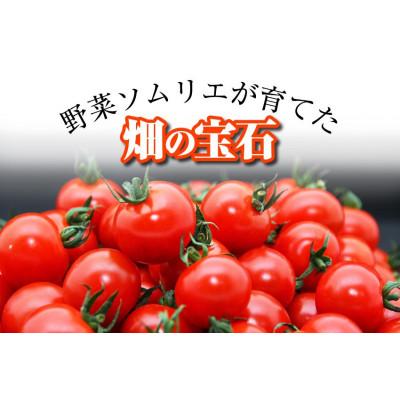 ふるさと納税 玉名市 【特別栽培農産物】「ソムリエミニトマト ダイヤ3kg」約150〜250玉 |  | 02