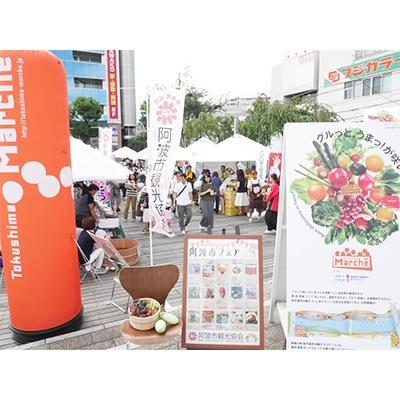 ふるさと納税 阿波市 阿波市観光協会　会員権(1年間)_3