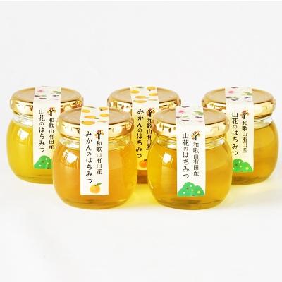 ふるさと納税 有田市 有田伊藤農園 みかんのはちみつと山花のはちみつ5個セット