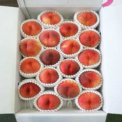 ふるさと納税 南部町 桃 「ぴちパ ピーチ」約5kg(15〜18玉)