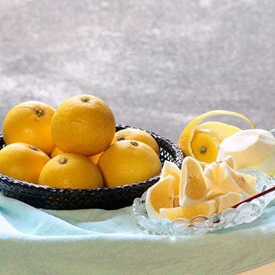 ふるさと納税 下田市 下田産 ニューサマーオレンジ 約5kg