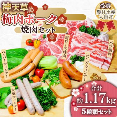 ふるさと納税 上天草市 天草梅肉ポーク[焼肉]セット