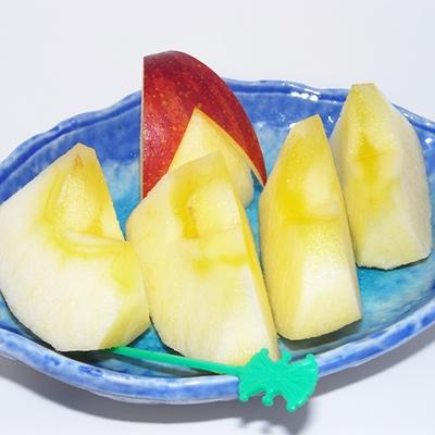 ふるさと納税 須賀川市 サンふじ りんご5kg