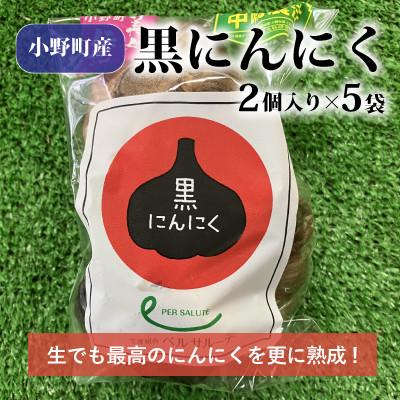 ふるさと納税 小野町 黒にんにく2個入り×5袋