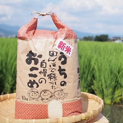 ふるさと納税 大刀洗町 [令和7年大刀洗町産]幸せを呼ぶひのひかり10kg