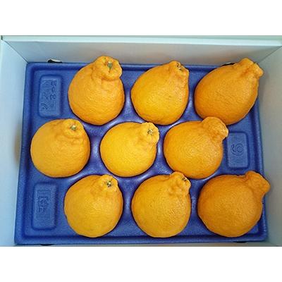 ふるさと納税 高松市 [2027年4月〜7月発送]初夏に味わえる柑橘 貯蔵デコポン 約2.7kg
