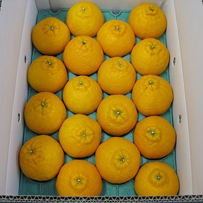 ふるさと納税 高松市 [3月3日までの期間限定価格]甘みと酸味の共演・濃厚「デコポン」 約4.5kg