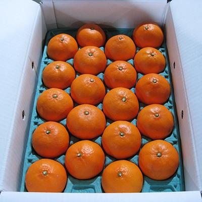 ふるさと納税 高松市 濃厚でとろける果肉「せとか」 約4.5kg